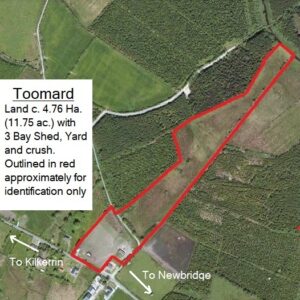 Toomard, Newbridge, Ballinasloe, Co. Galway.